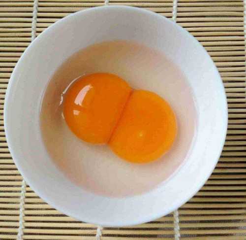西安代孕贴吧,西安正规供卵的医院-西安在供卵试管产子