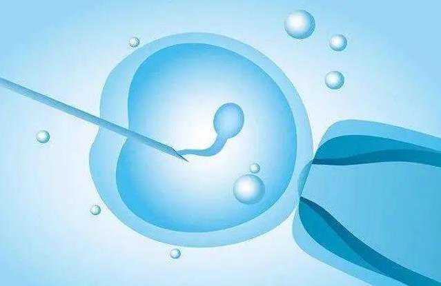 51宝贝助孕_aa69怎么样,美国试管婴儿助孕卵泡数量之科学促排卵_泉州供卵医院