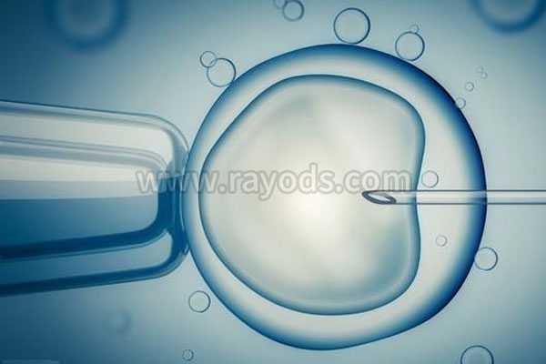 次子宫切除怀孕吗_男染色体异常流产_重庆助孕试管婴儿取卵流程是怎样的？