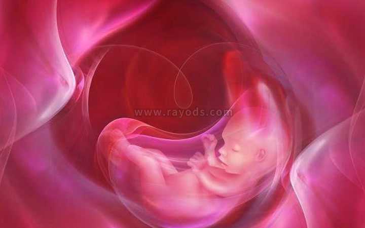 子宫口切除怀孕_习惯性流产原因_试管婴儿成功移植后，最早多久可以验孕呢？