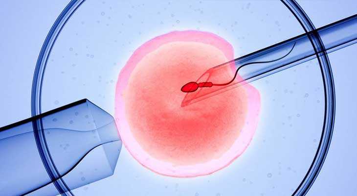 供卵孩子_供卵机构包男孩_真相探索：试管婴儿移植后胚胎会流出来吗 是更有助