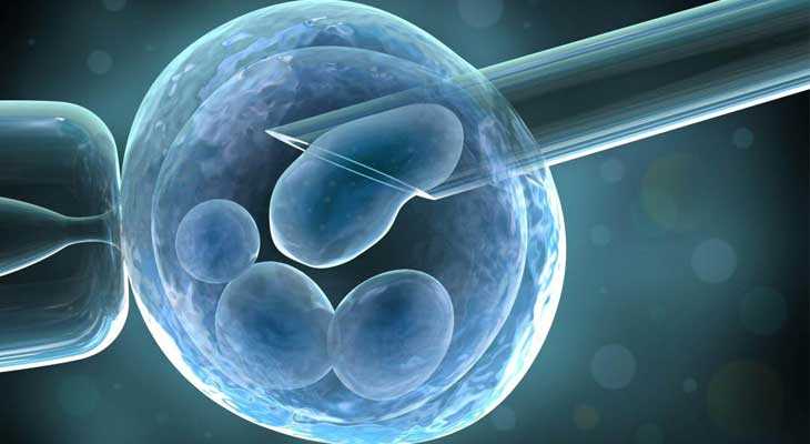 供卵孩子_供卵机构包男孩_真相探索：试管婴儿移植后胚胎会流出来吗 是更有助