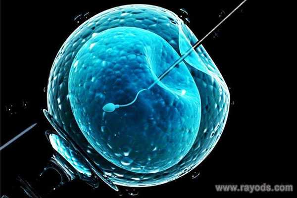 供卵医院官网_供卵试管分娩时_试管婴儿可以做性别筛选吗？